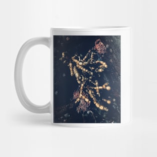 Neptune’s Necklace Mug